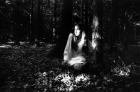 Forest Fears, Vol.II, No.1