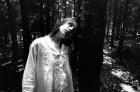 Forest Fears, Vol.II, No.2