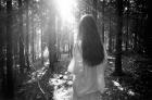 Forest Fears, Vol.II, No.4