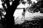 Forest Fears, Vol.II, No.8