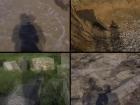 Rural Shadow Walks